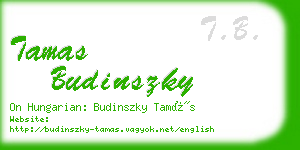 tamas budinszky business card